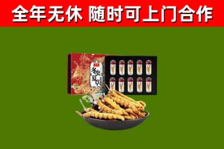 广元回收冬虫夏草价格